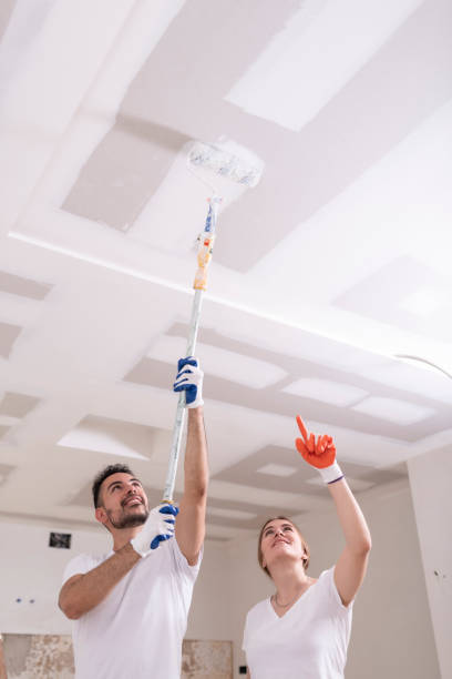 Mold Documentation for Insurance Claims in Highland Falls, NY