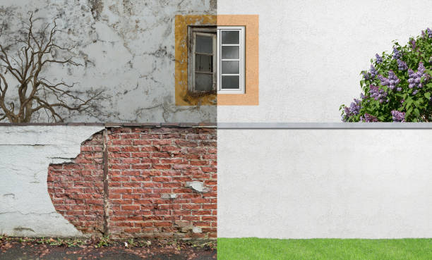 Best Basement Mold Removal  in Highland Falls, NY