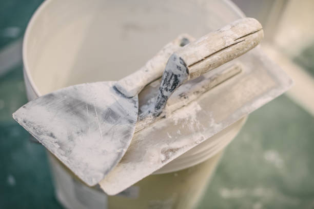 Best Attic Mold Removal  in Highland Falls, NY